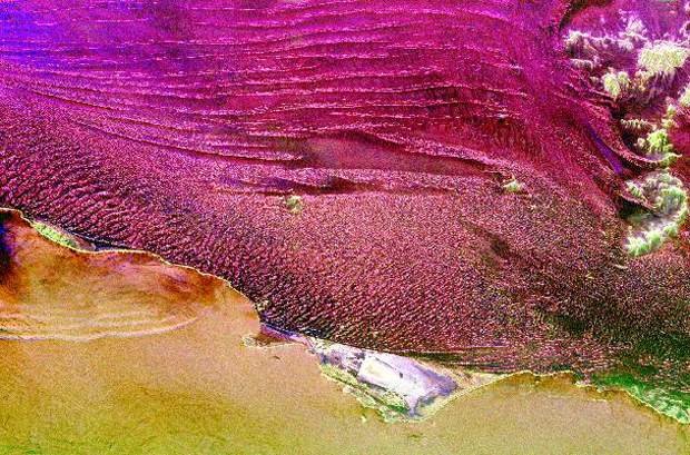 Space Radar Image of Namibian SandDunes