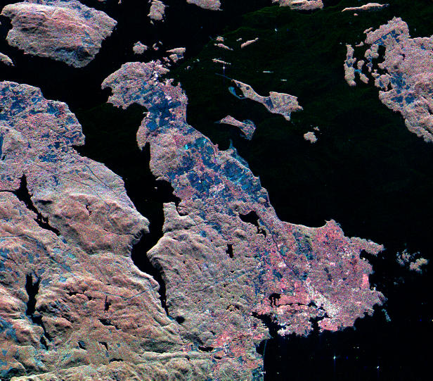 Space Radar Image of Victoria, Canada