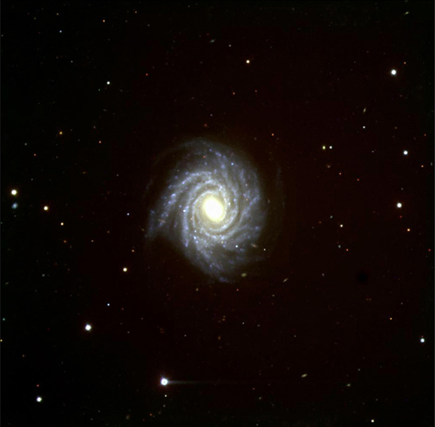 Spiral Galaxy NGC 1288