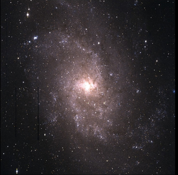 Spiral Galaxy Messier 33