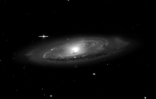 The Spiral Galaxy NGC 3623 (Messier 65)