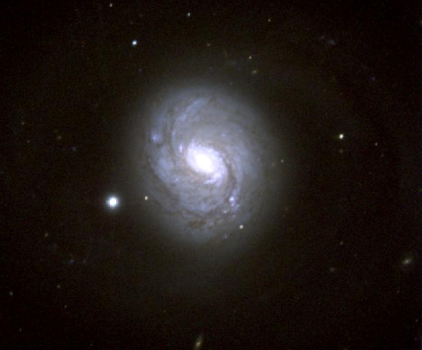 The Sb Spiral Galaxy M77