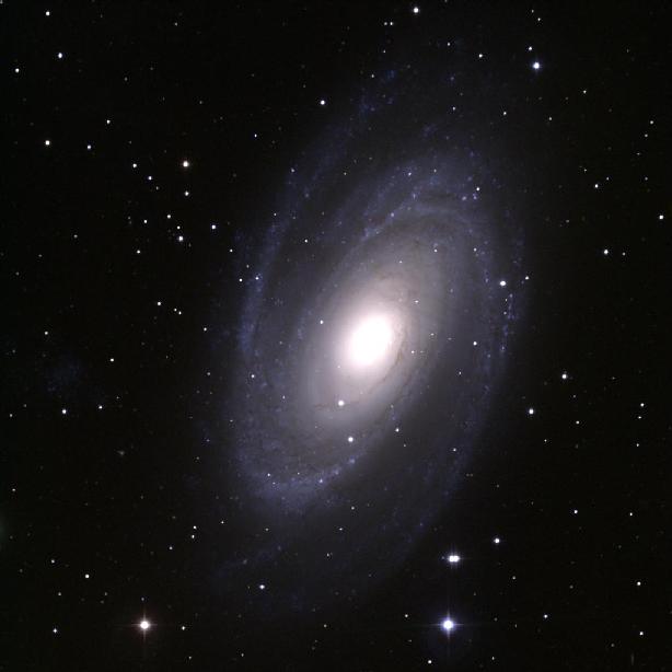 The Sb Sprial Galaxy M81