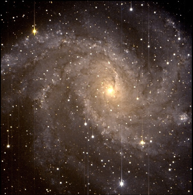 The Spiral Galaxy NGC 6946