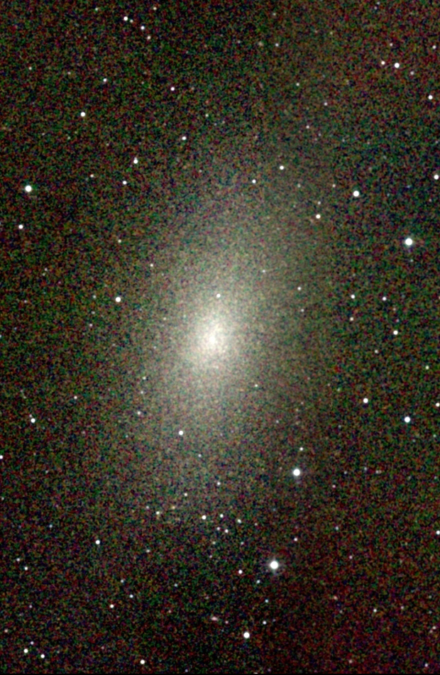 The Dwarf Galaxy NGC 205 (Messier 110) in the Infrared