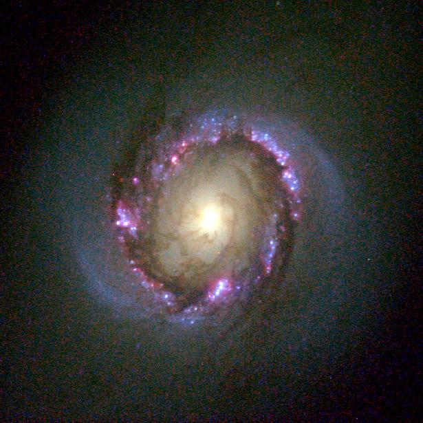 A Bright Ring of Star Birth Around a Galaxy's Core