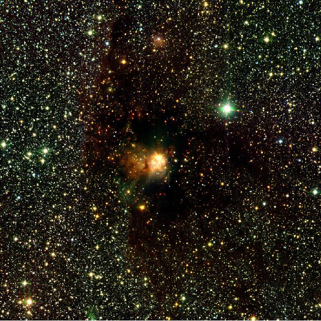 Stellar Birth in a Dark Cloud (I)