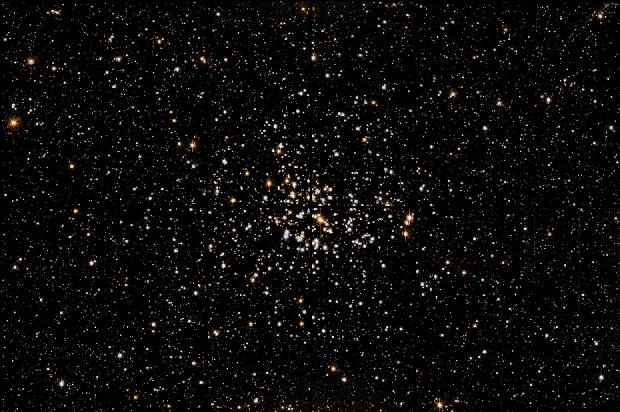 The CFHT Open Cluster Survey : NGC 2099
