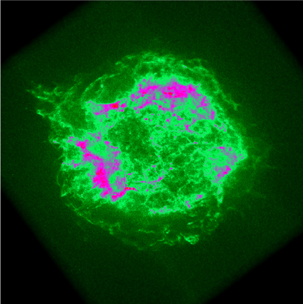 Chandra X-ray Image of Cas A