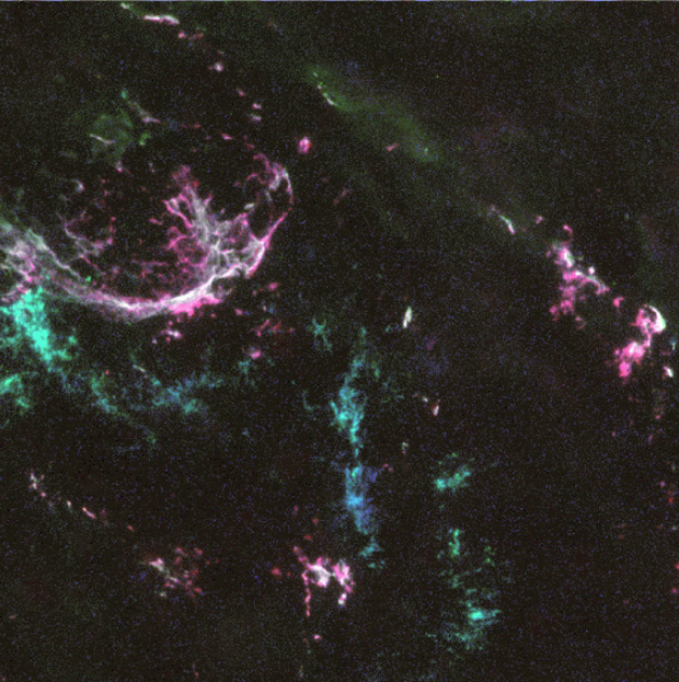 The Supernova Remnant N132D