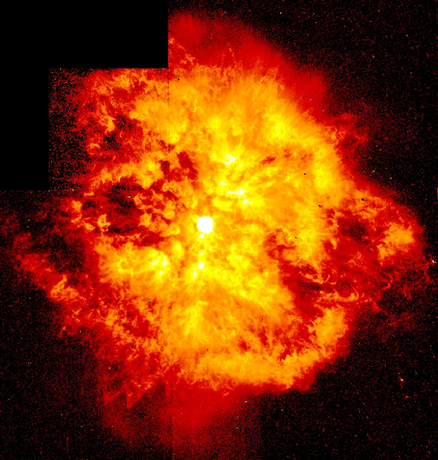 The Wolff-Rayet Star 124