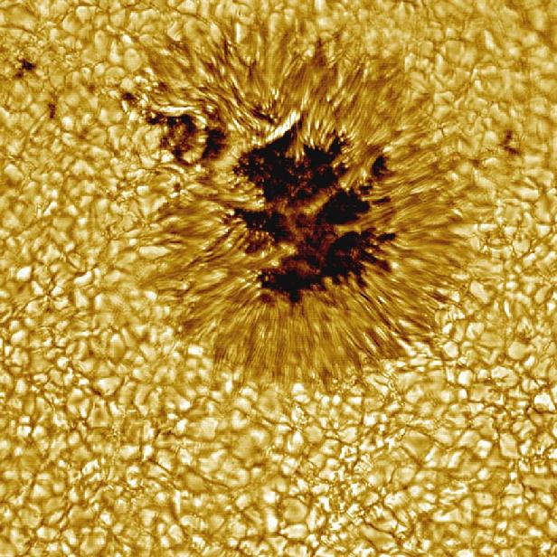 Sunspot as Seen by the Vacuum Tower Telescope