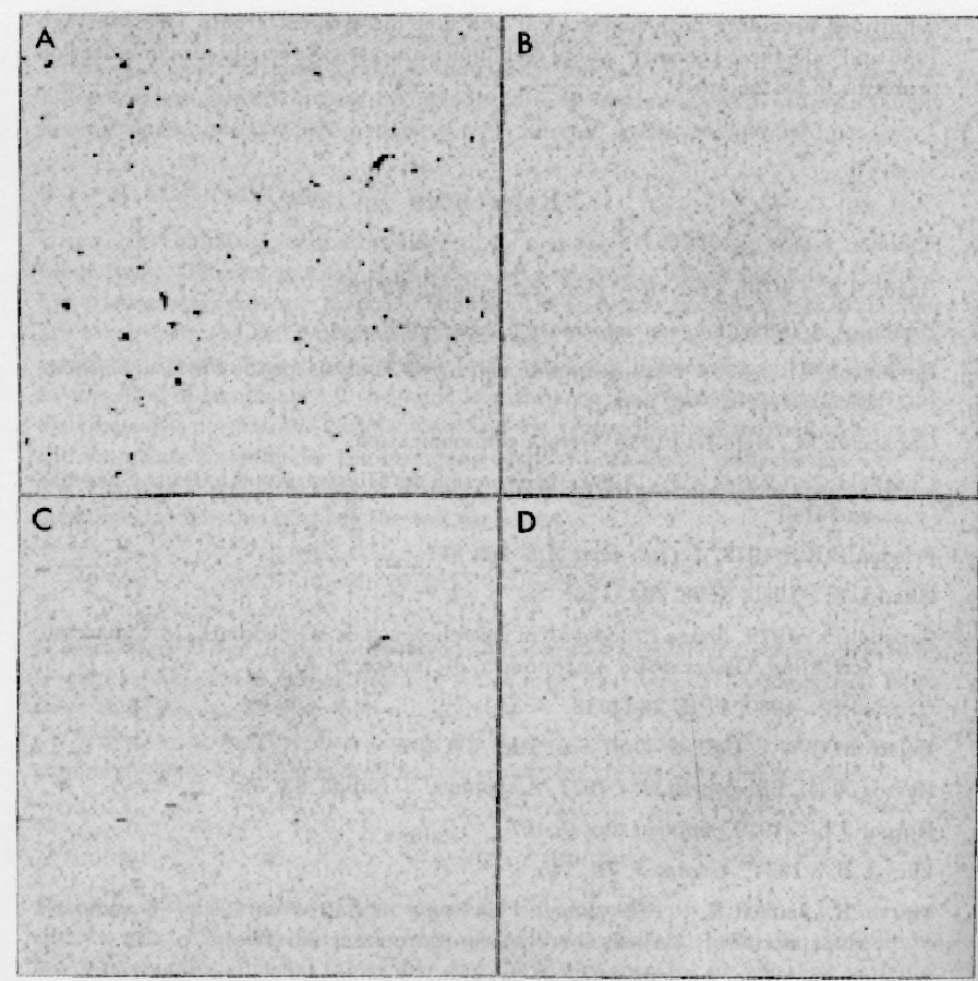 \begin{figure}\begin{center}
\psfig{figure=fig1_dark.eps,angle=-1,clip=} \end{center}
\end{figure}