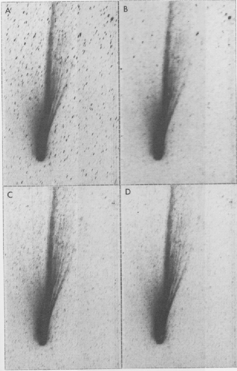 \begin{figure}\psfig{figure=fig7_comet.eps,clip=} \end{figure}