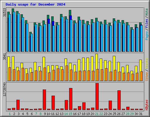 Daily usage for December 2024