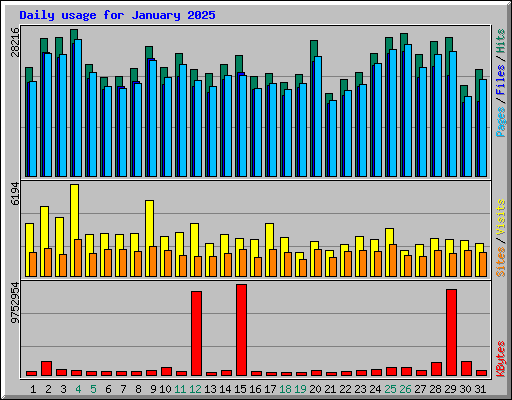 Daily usage for January 2025