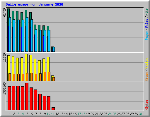 Daily usage for January 2026