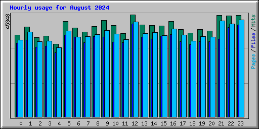 Hourly usage for August 2024