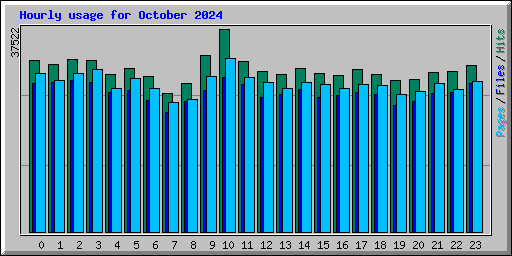 Hourly usage for October 2024