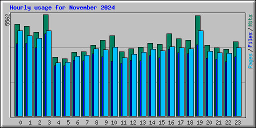 Hourly usage for November 2024