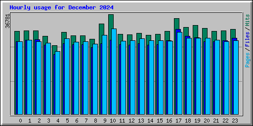 Hourly usage for December 2024