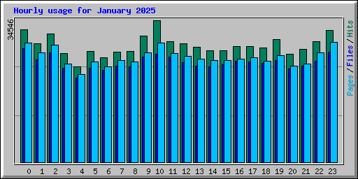 Hourly usage for January 2025