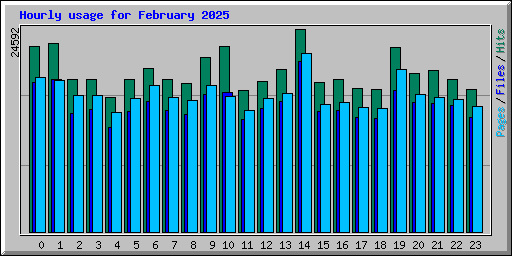 Hourly usage for February 2025