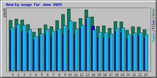 Hourly usage for June 2025