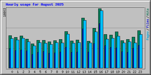 Hourly usage for August 2025