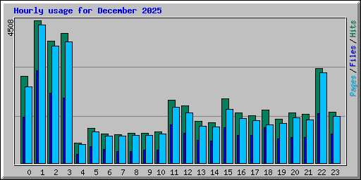 Hourly usage for December 2025