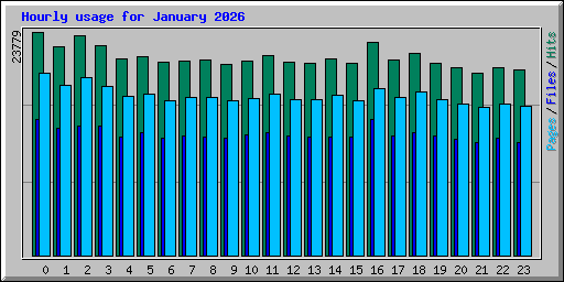 Hourly usage for January 2026