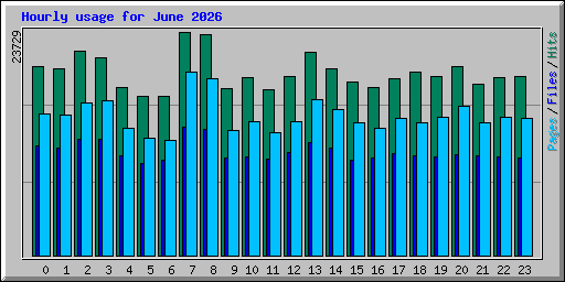 Hourly usage for June 2026