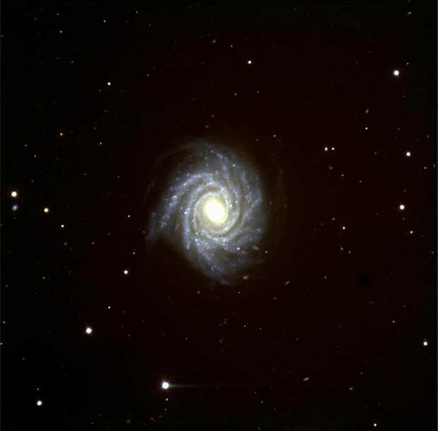 Spiral Galaxy NGC 1288