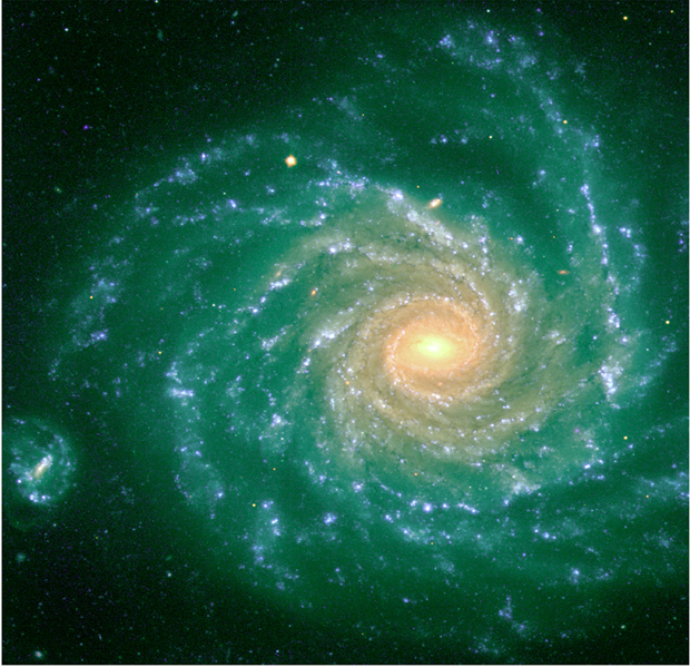 Spiral Galaxy NGC 1232