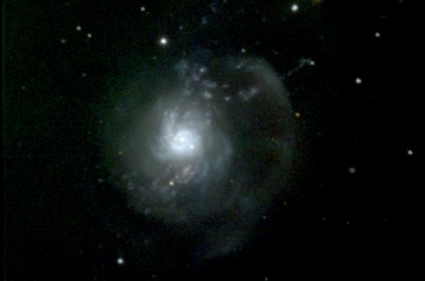 The Bow and Arrow Galaxy: The UnusualSpiral NGC3310