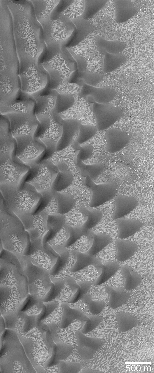 Sharks Teeth - Sand Dunes in Proctor Crater