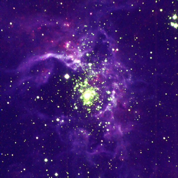 Tarantula Nebula in the Large Magellanic Cloud