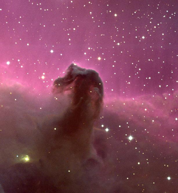 The Horsehead  Nebula