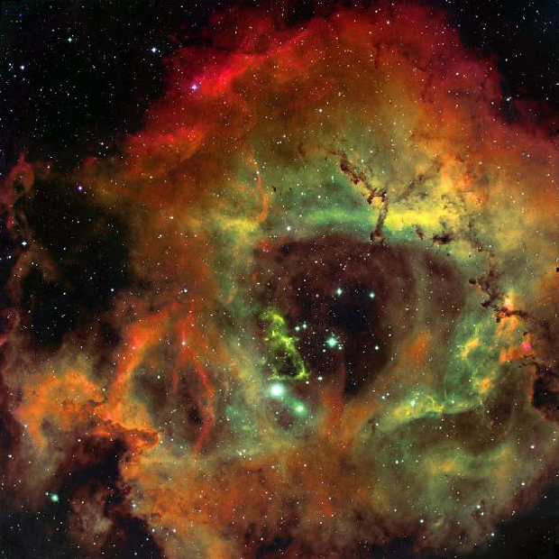 Rosette Nebulae Emission-Line Image