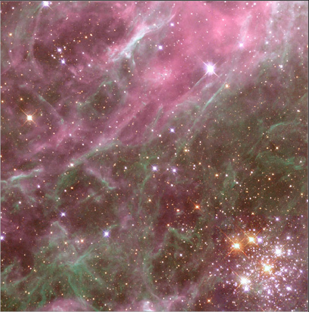 Hodge 301 in the Tarantula Nebula