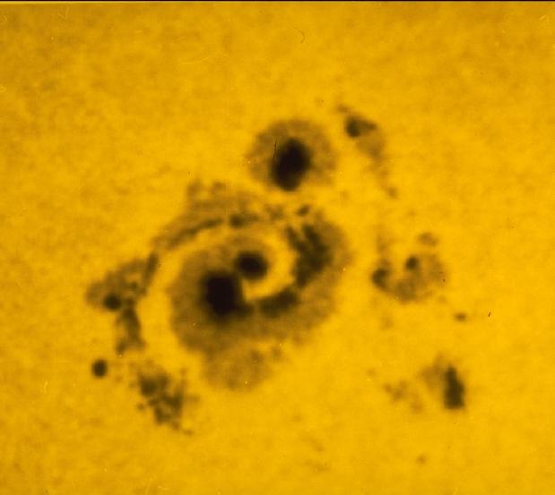 A Rare Spiral Sunspot