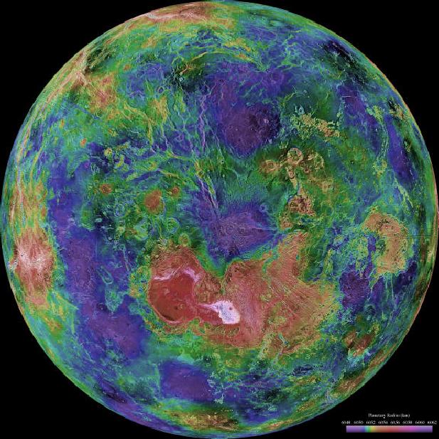 Hemispheric View of Venus Centered at the North Pole